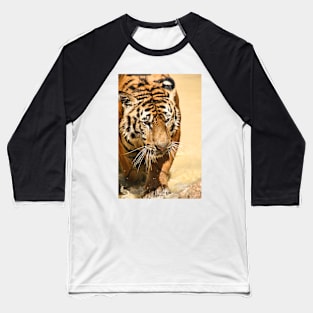 Tiger Emerging Baseball T-Shirt